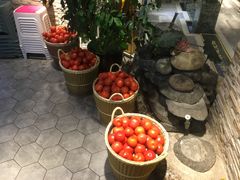 -蕃茄述·好汤自然来(江汉路店)