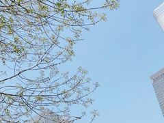 -中央广播电视总台(光华路办公区)