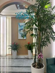 -雅曼妮spa美容养生