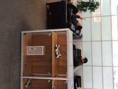-上海和展广汽丰田4S店(老闵行店)
