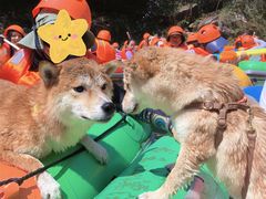 -安吉龙王山峡谷漂流