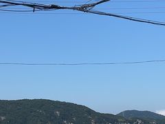 -阿伍海鲜大排档(塔湾金沙店)