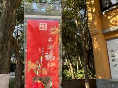 -灵谷景区