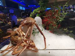 -乔哥铭洋海鲜自助(皇城恒隆广场店)