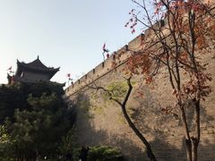 -魏家凉皮(博水商务大厦店)