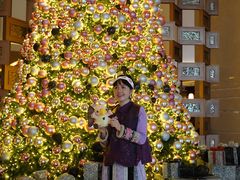 -The Lounge·大堂酒廊·北京粤财JW万豪酒店