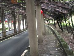 -重庆医科大学附属第一医院(金山院区)