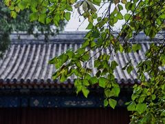 -国家植物园
