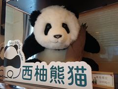 -成都保利公园皇冠假日酒店(熊猫基地店)