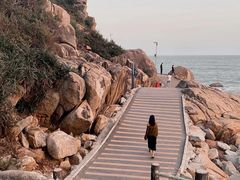 -广东惠东海龟国家级自然保护区