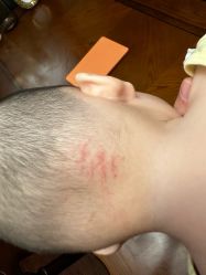 -星咔萌·StarCamo儿童剪发(东坝万达广场店)