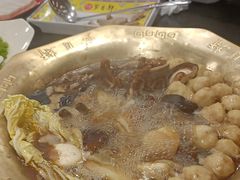 -芦月轩羊蝎子(北蜂窝店)