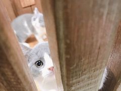 -龟与熊猫宠物公园(南坪店)