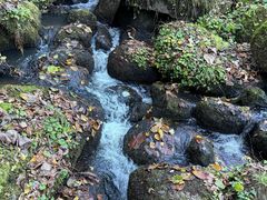 -五营红松林海景区