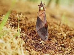 -村长家的疙瘩汤(淄博路店)