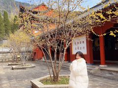 -四祖寺