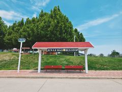 -君乐宝优致牧场