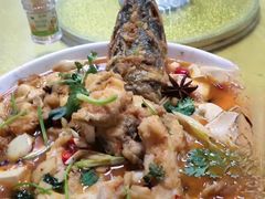 -煲来饱去冷水鱼