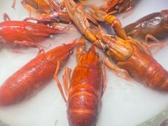 -红盔甲·小龙虾(定西路店)