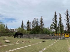 -前小桔亲子创意农场·草莓采摘·露营烧烤