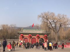 -晋祠公园