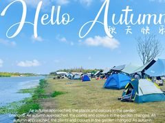 -春花秋色城市公园