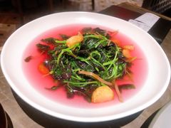 上汤苋菜-金鸭季·北京烤鸭(深业上城店)