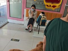 -全心全意连锁动物医院·微创中心·内科急重症·心脏专科(丰管路店)