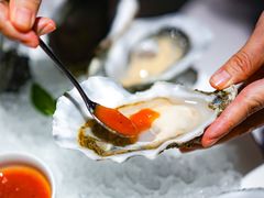 -Oyster Talks 四度蚝法餐厅