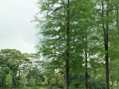 -人民公园(罗湖区)