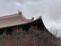 -善化寺