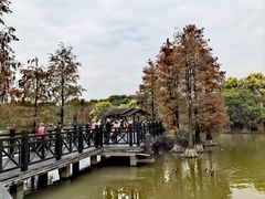 -海珠湖公园