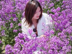 -江苏三台山国家森林公园