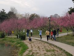 -堤角公园