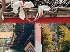 -潭柘寺景区