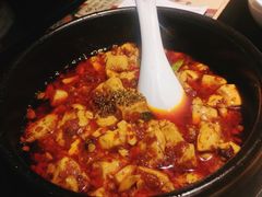 -陈麻婆豆腐总店