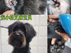 -宠小格时尚宠物生活馆(唐镇店)