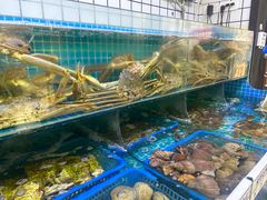 -震海贝烤贝·民俗特色店(延吉总店)
