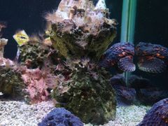 -海合安武汉极地海洋公园