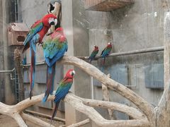 -大连森林动物园