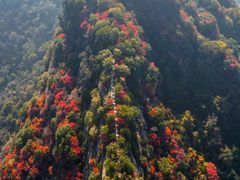 -秦岭终南山世界地质公园翠华山景区