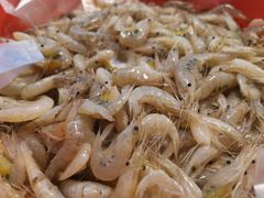 -老三鱼仔店