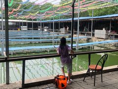 -北京上庄水库尚野露天户外自助烧烤