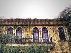 -府河摄影公园