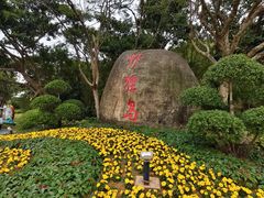 -野狸岛