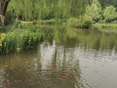 景点-朝阳公园