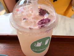 -有猫主题·治愈系猫咖(曾厝垵店)