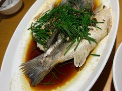 -大鸽饭(马王堆店)