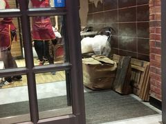 -赵记阿香婆麻辣涮(平顶山店)