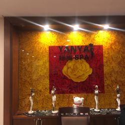 -嘉逸国际酒店妍雅SPA会所
